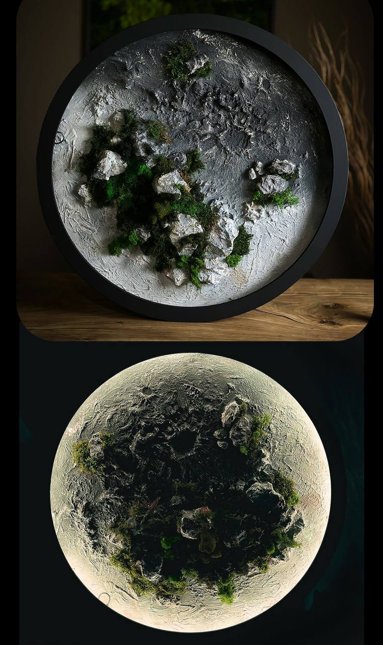 MOSS DECORE №7