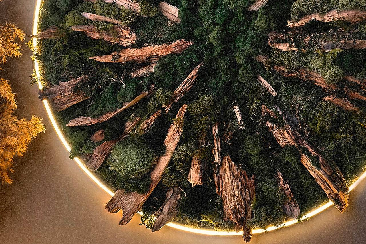 MOSS DECORE №5