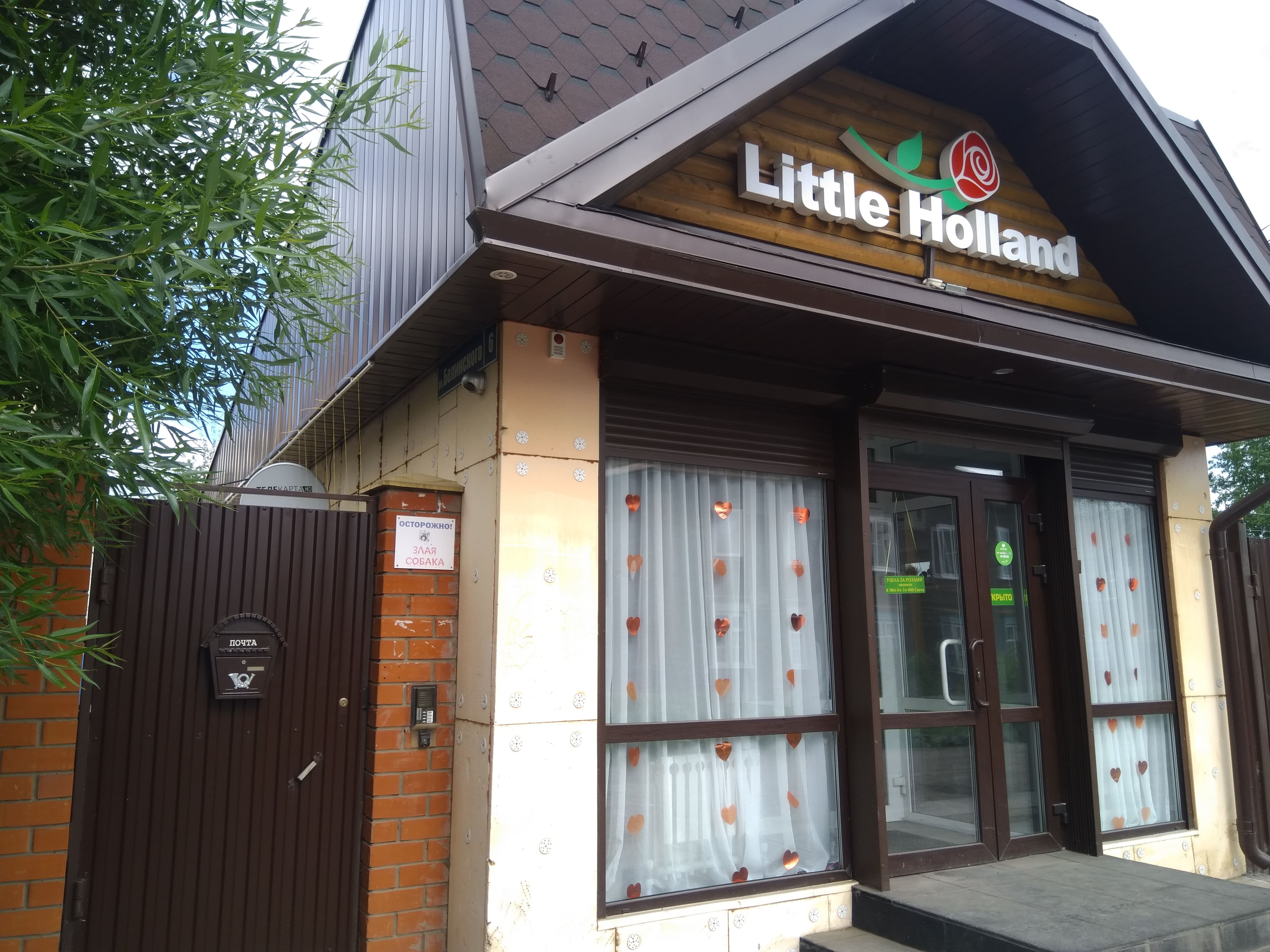 Little Holland №4
